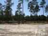 1036 Sandy Grove Pl
 Leland NC 28451