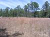 625 Levis Ln
 Wilmington NC 28412