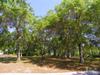 1224 Great Oaks Dr
 Wilmington NC 28405